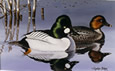 1988 Ohio Duck Stamp - Art Print